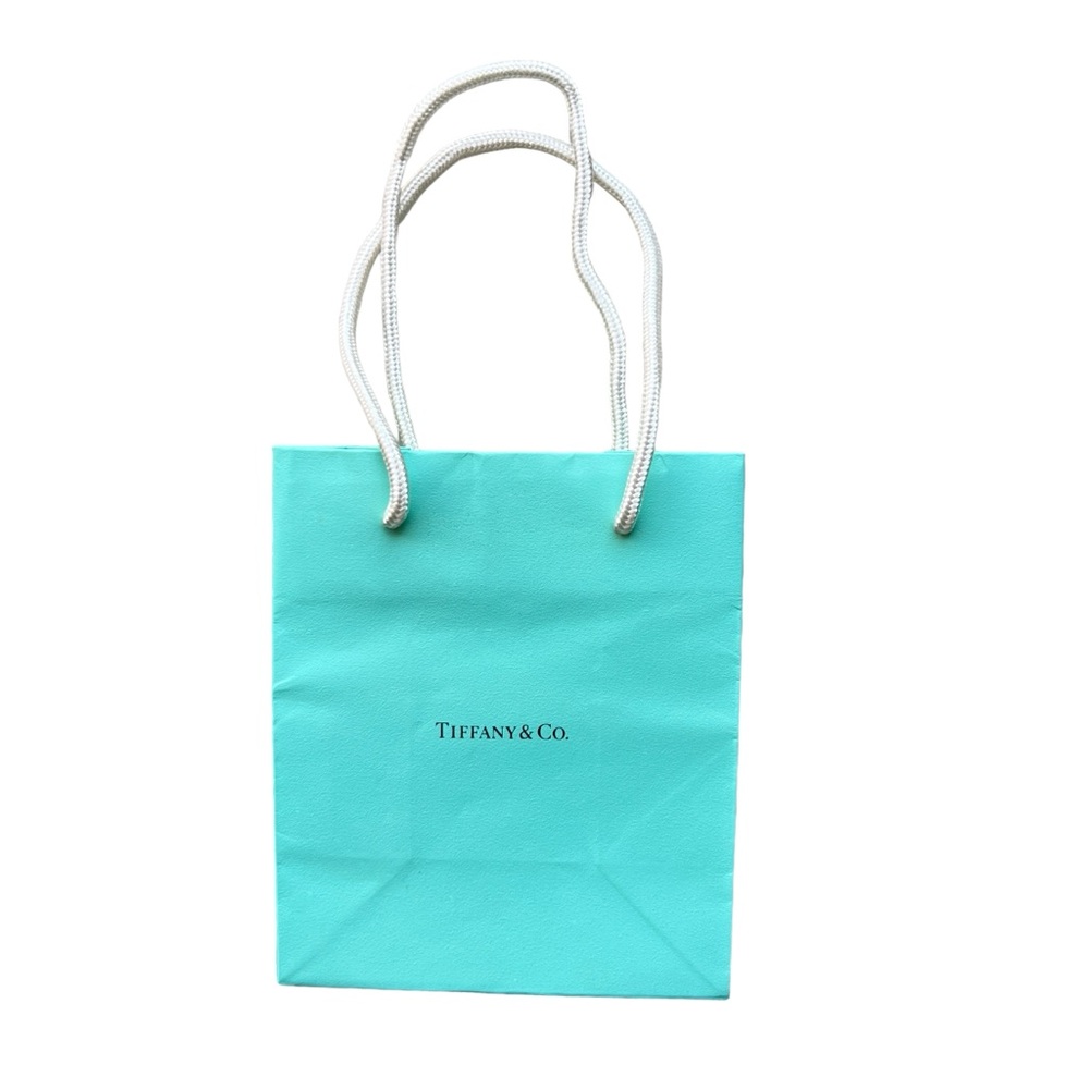 TIFFANY & CO. Gift Bag 5 x 6h x 3 w/ white cord handles Luxe luxury shopper